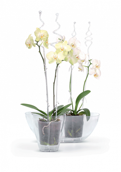 COUBI ORCHID Blumentopf, 1,6 Liter, Weiß – 13,2x13,2x16,5 Cm, Modernes Design Für Orchideen