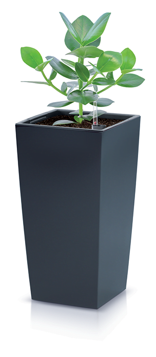Urbi Square flowerpot - Prosperplast