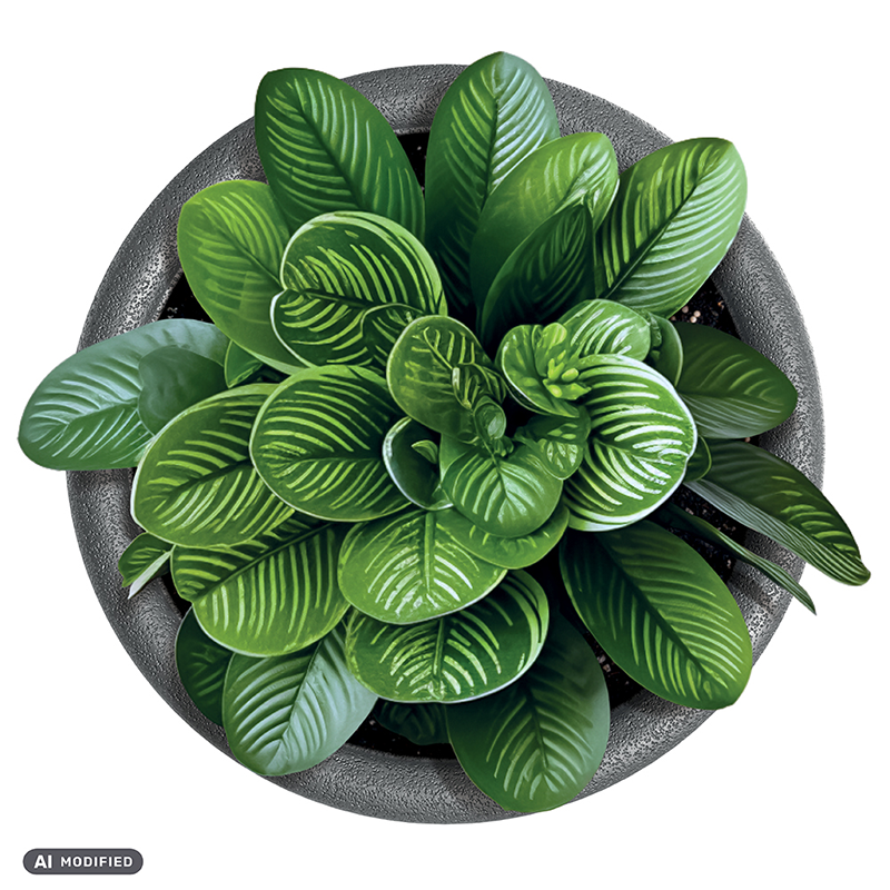 Origina flowerpot