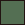 green_pine